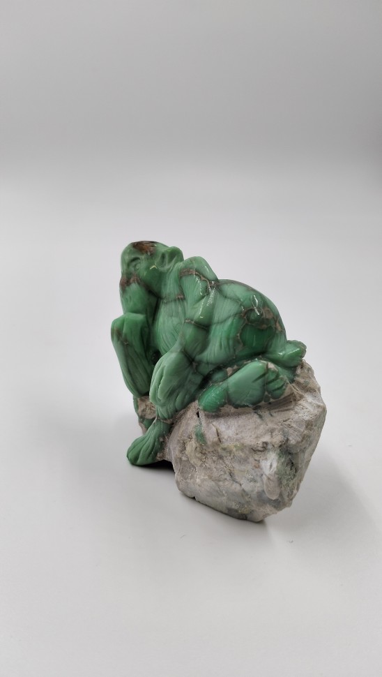 Обезьяна. Варисцит на породе