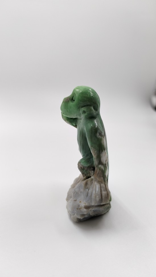 Обезьяна. Варисцит на породе