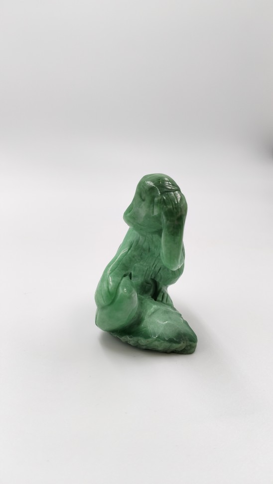 Обезьяна. Варисцит 