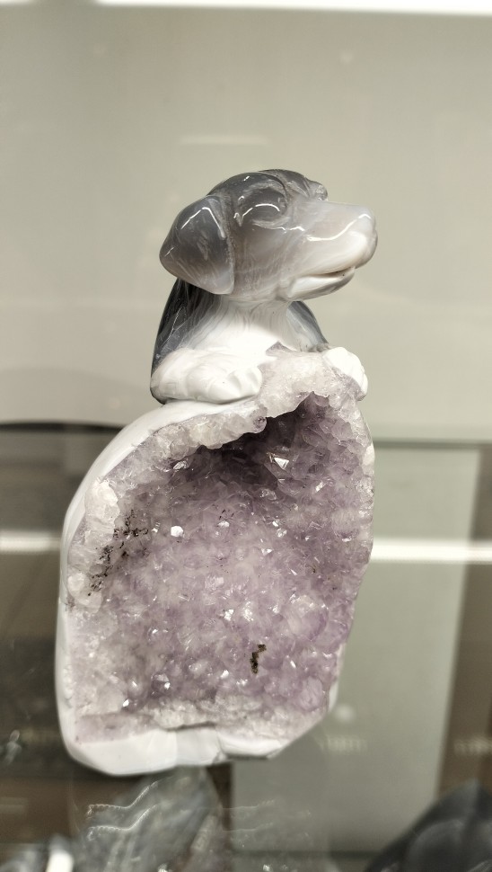 Собака-агат с друзой аметиста