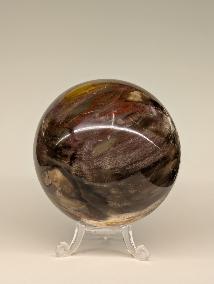 Окаменелое дерево