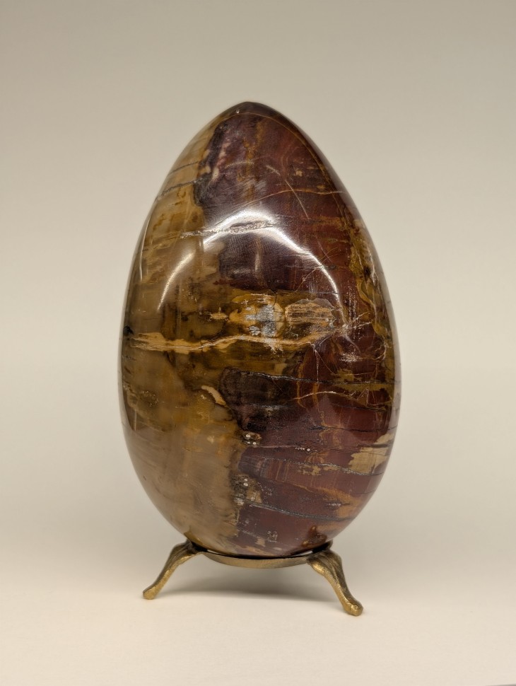 Окаменелое дерево